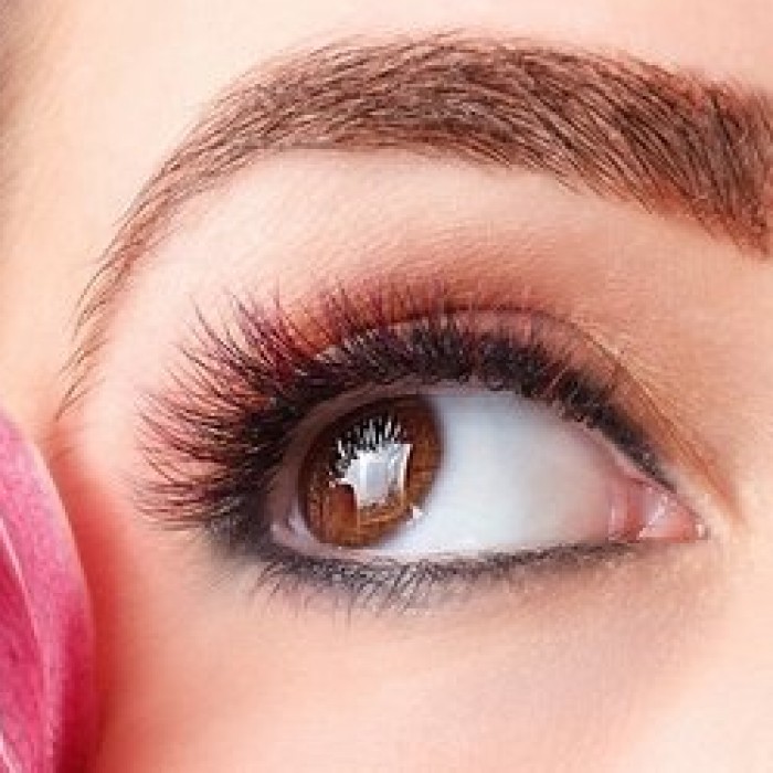 Eyebrow Or Eyeliner Touch Up For 1 Services (Within 6 Months Continue Touch Up) 